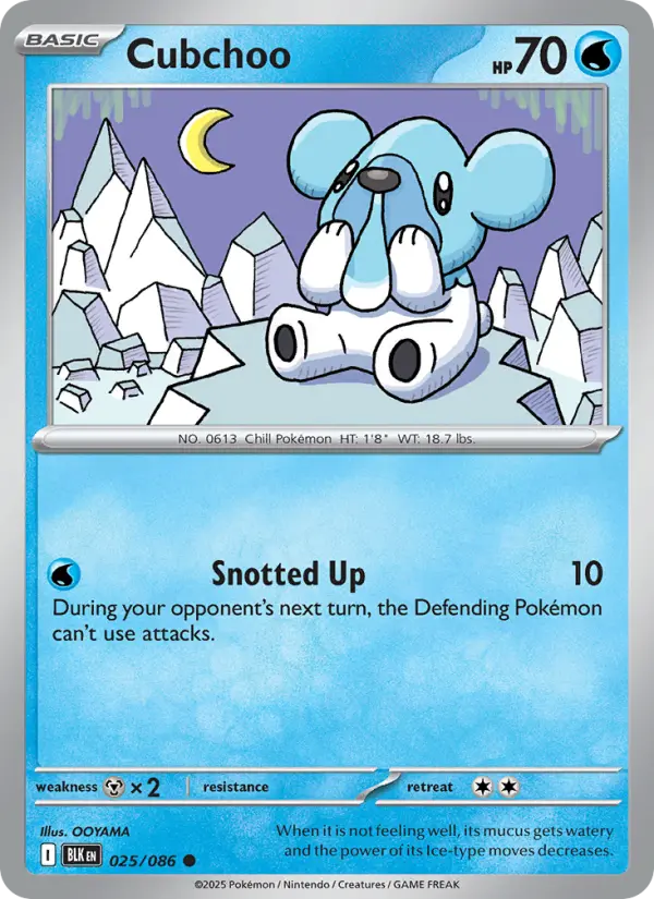 Cubchoo (BLK) 025