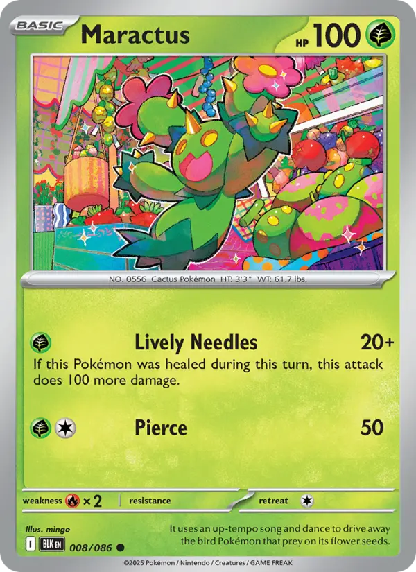 Maractus (BLK) 008