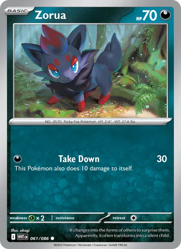 Zorua (WHT) 061