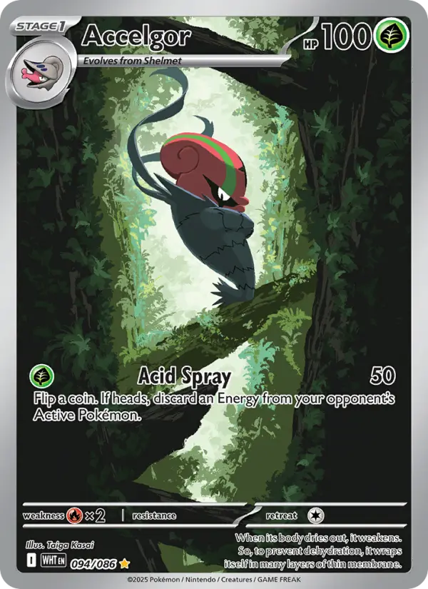 Accelgor (WHT) 094