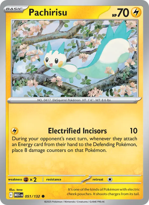 Pachirisu (MEG) 051