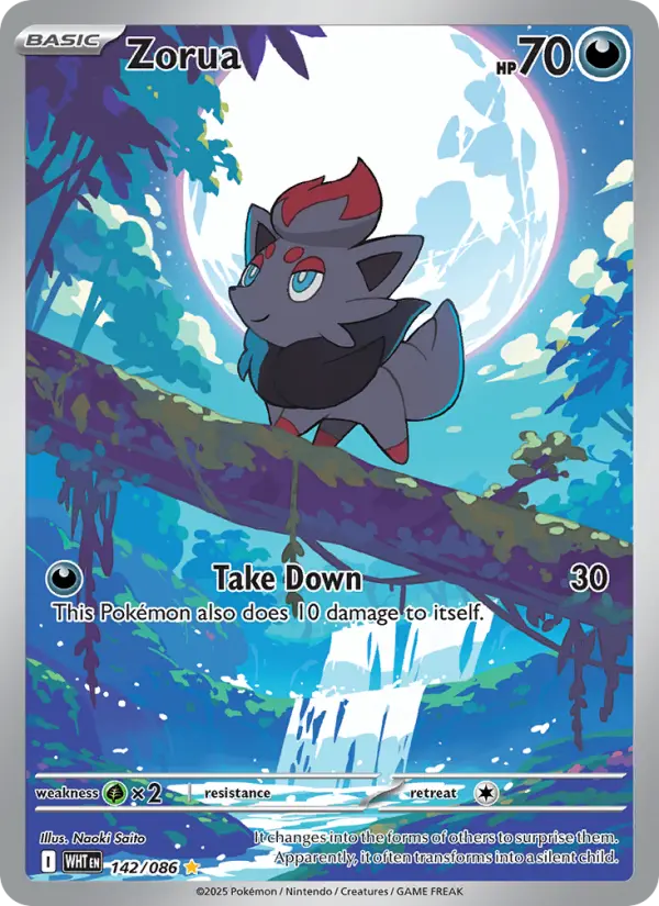 Zorua (WHT) 142