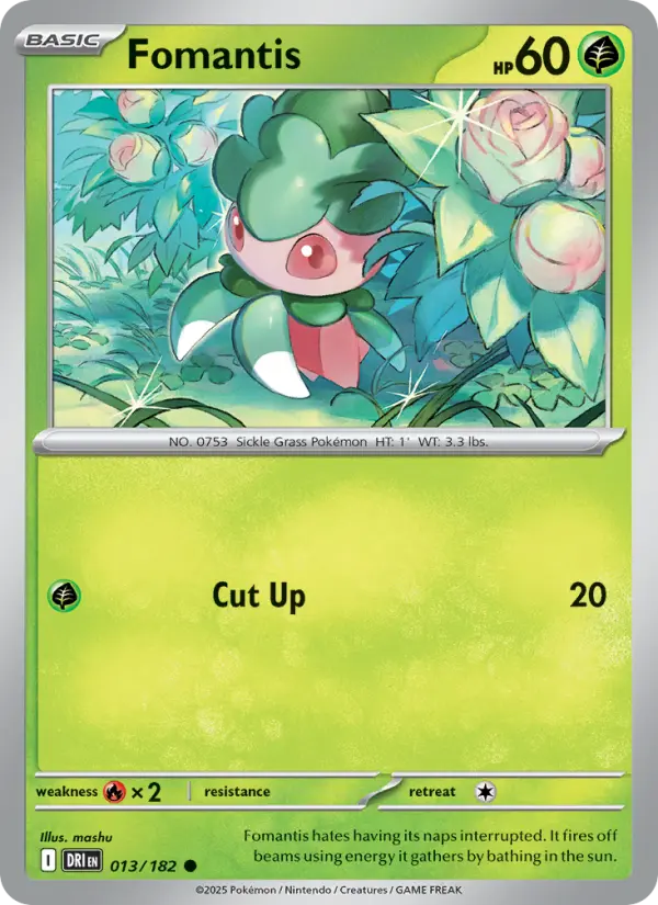 Fomantis (DRI) 013