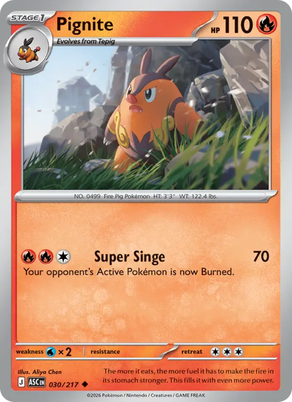 Pignite Reverse Holo 030/217 Ascended Heroes Pokémon Card