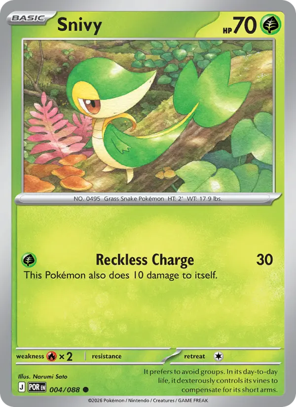 Snivy (POR) 004
