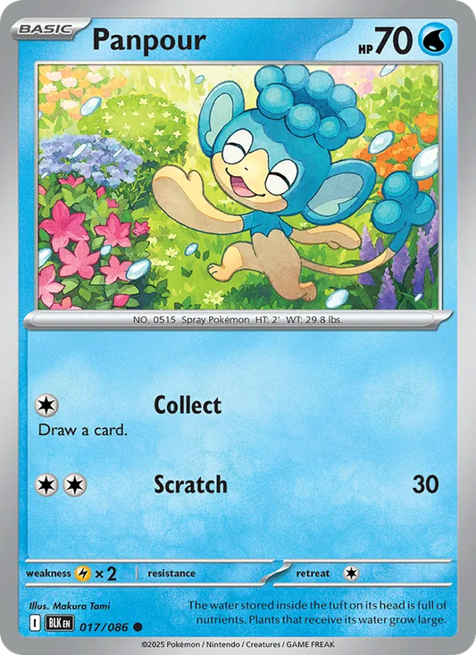 Panpour Normal 017/86 Black Bolt Pokémon Card