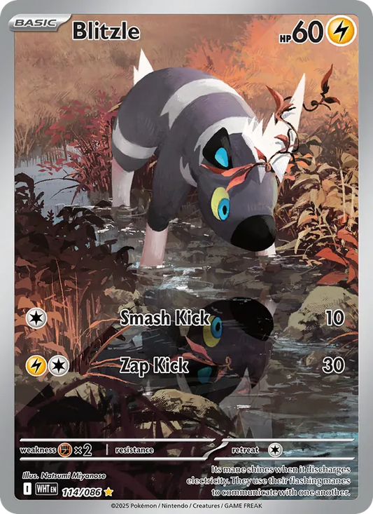 Blitzle Holo 114/86 White Flare Pokémon Card