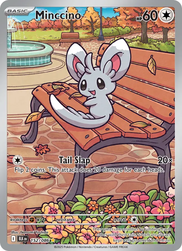 Minccino (BLK) 152