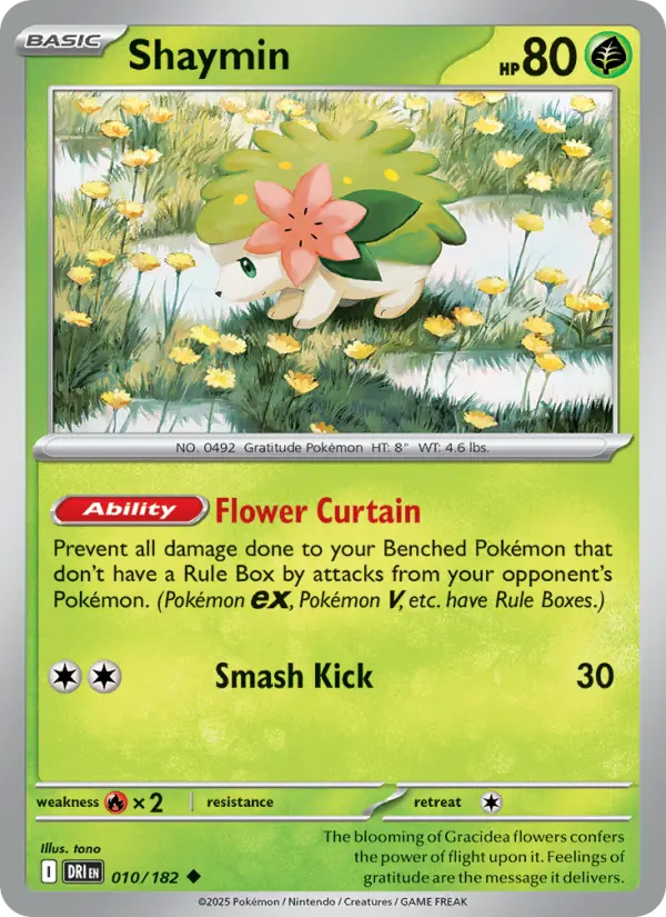 Shaymin (DRI) 010