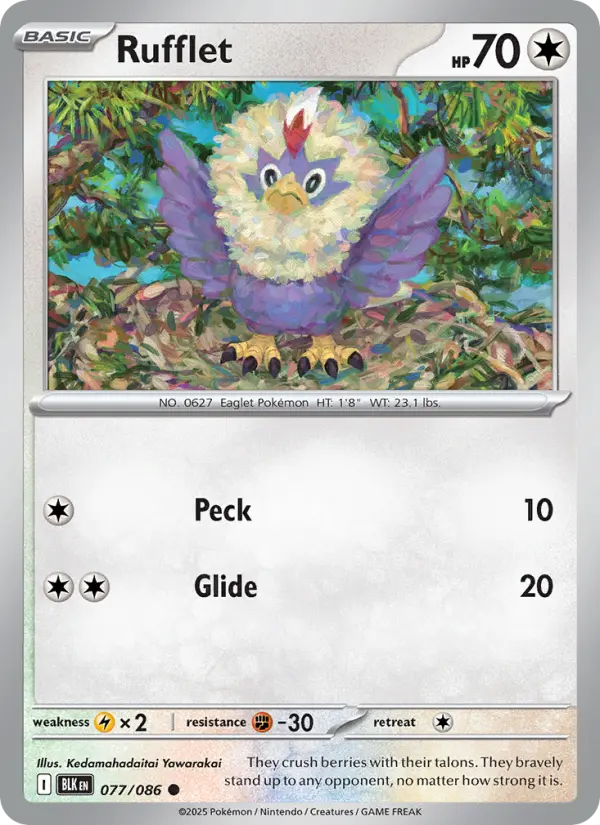 Rufflet (BLK) 077