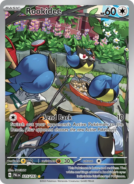 Rookidee Holo 225/193 Paldea Evolved Pokémon Card