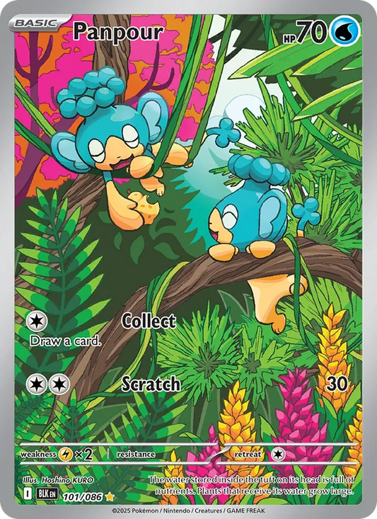 Panpour Holo 101/86 Black Bolt Pokémon Card