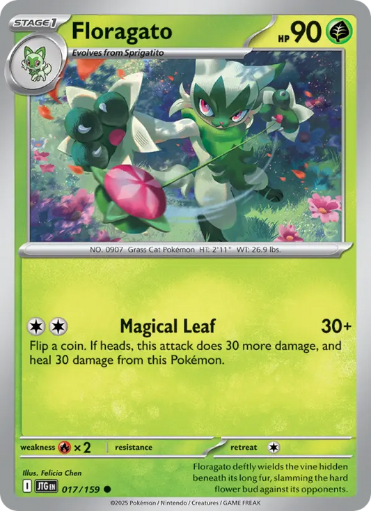 Floragato (JTG) 017