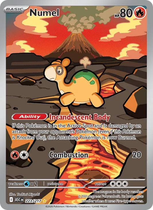 Numel Holo 223/217 Ascended Heroes Pokémon Card