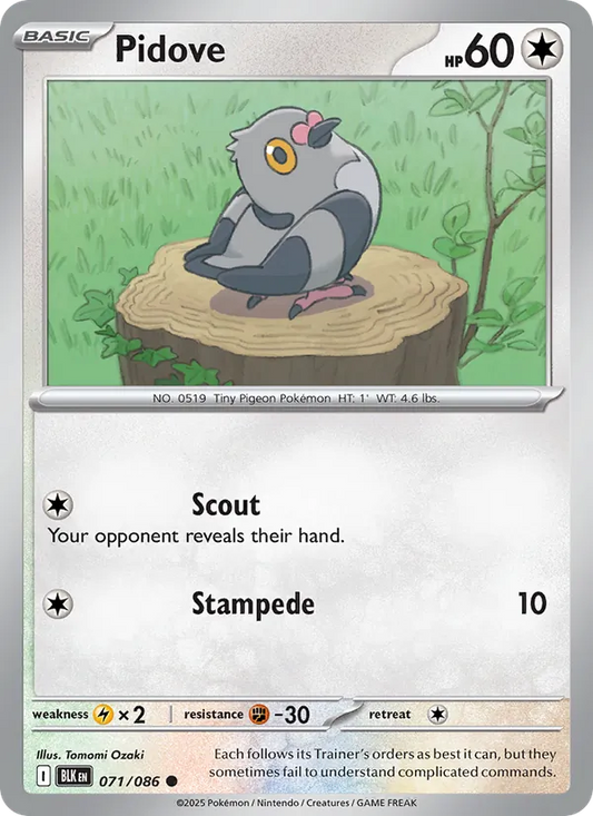 Pidove Normal 071/86 Black Bolt Pokémon Card