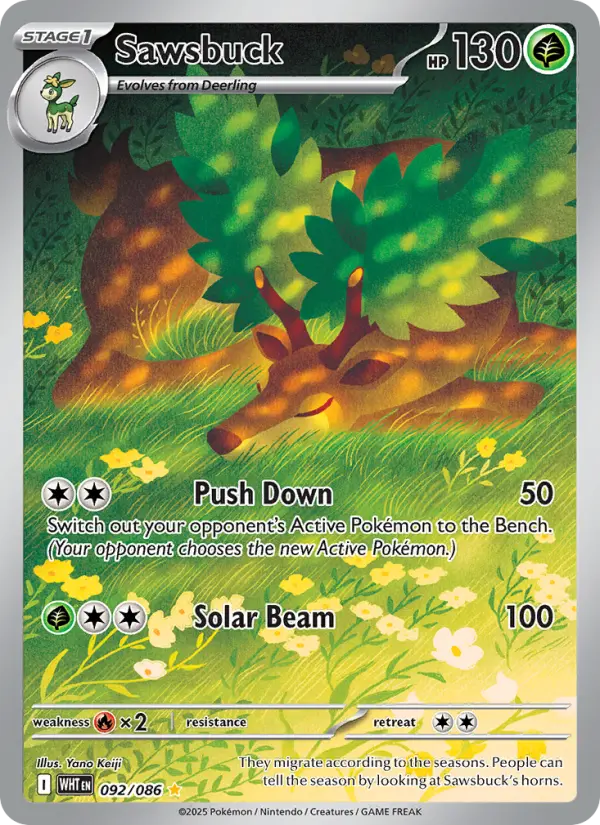 Sawsbuck (WHT) 092