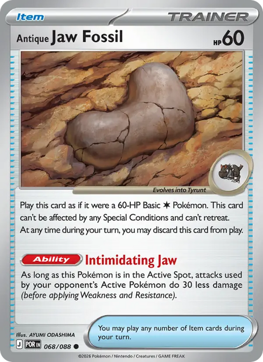 Antique Jaw Fossil (POR) 068