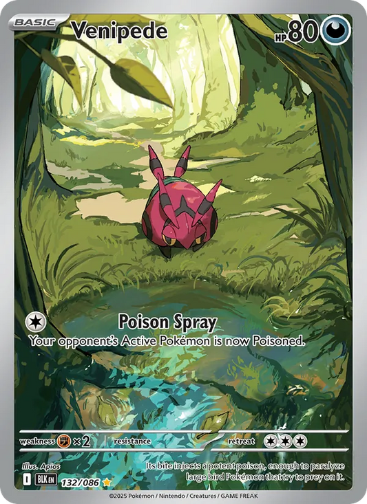 Venipede Holo 132/86 Black Bolt Pokémon Card