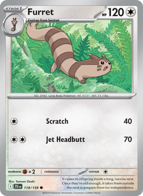 Furret (JTG) 119