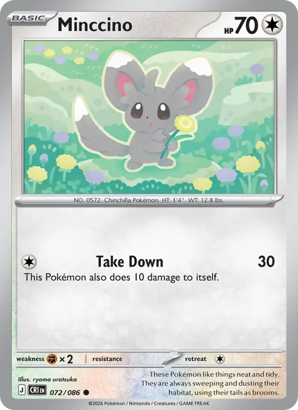 Minccino (CRI) 072