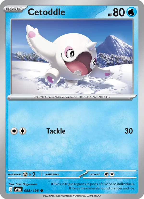Cetoddle Non-Foil 058/198 Scarlet & Violet Pokémon Card
