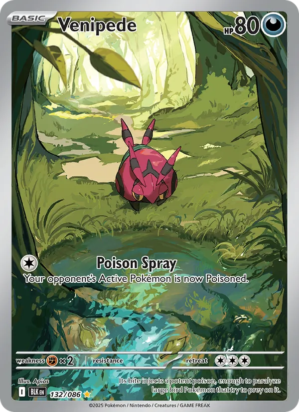 Venipede Holo 132/86 Black Bolt Pokémon Card