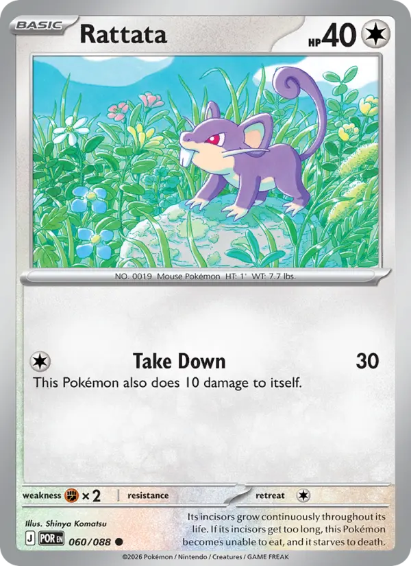 Rattata (POR) 060