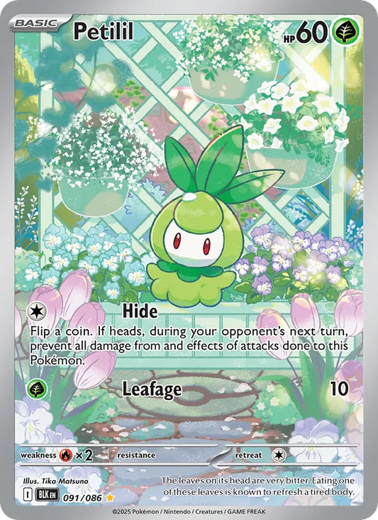 Petilil Holo 091/86 Black Bolt Pokémon Card