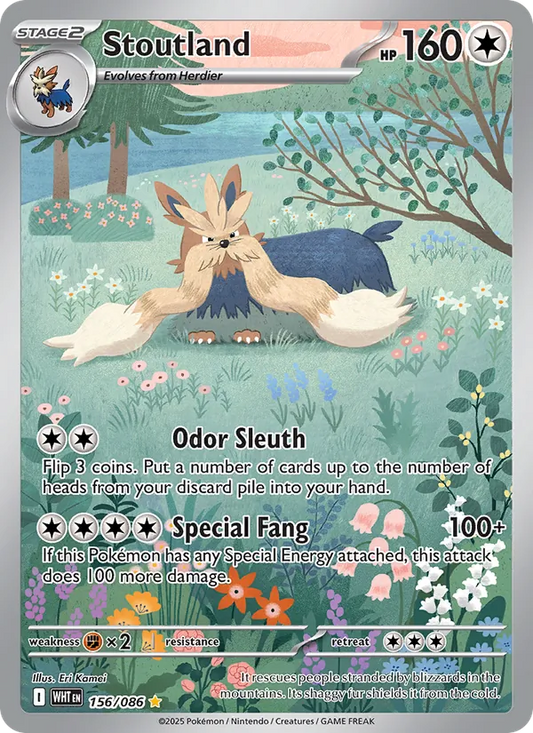 Stoutland Holo 156/86 White Flare Pokémon Card