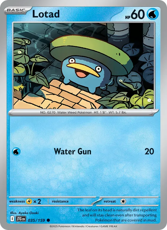 Lotad Normal 035/159 Journey Together Pokémon Card