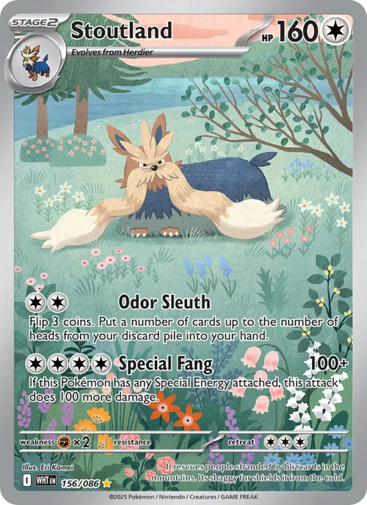 Stoutland Holo 156/86 White Flare Pokémon Card