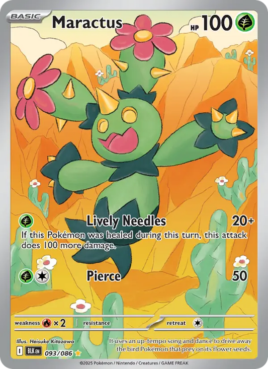 Maractus (BLK) 093