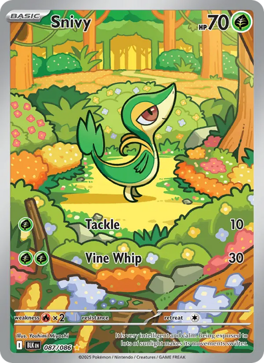 Snivy (BLK) 087