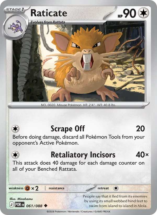 Raticate (POR) 061
