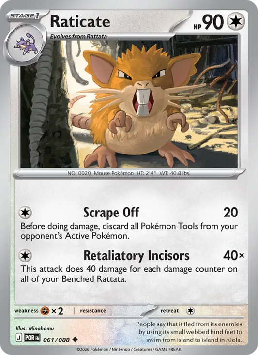 Raticate (POR) 061