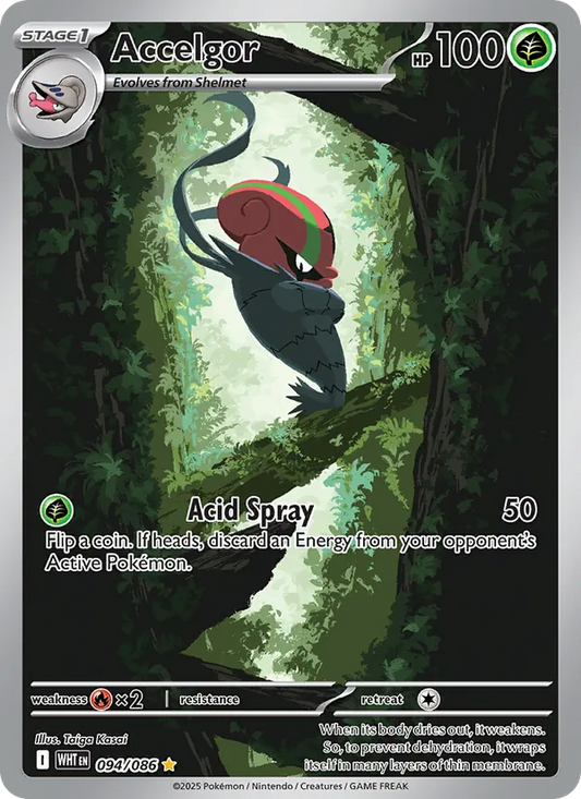 Accelgor Holo 094/86 White Flare Pokémon Card