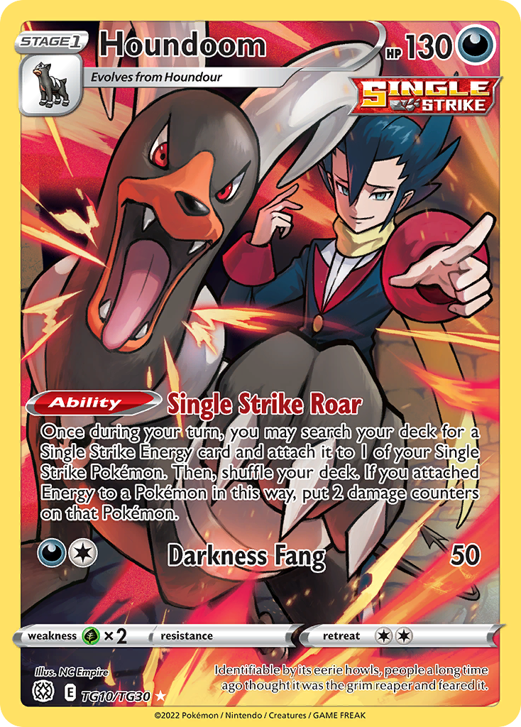 Houndoom Holo 010/30 Brilliant Stars Trainer Gallery Pokémon Card