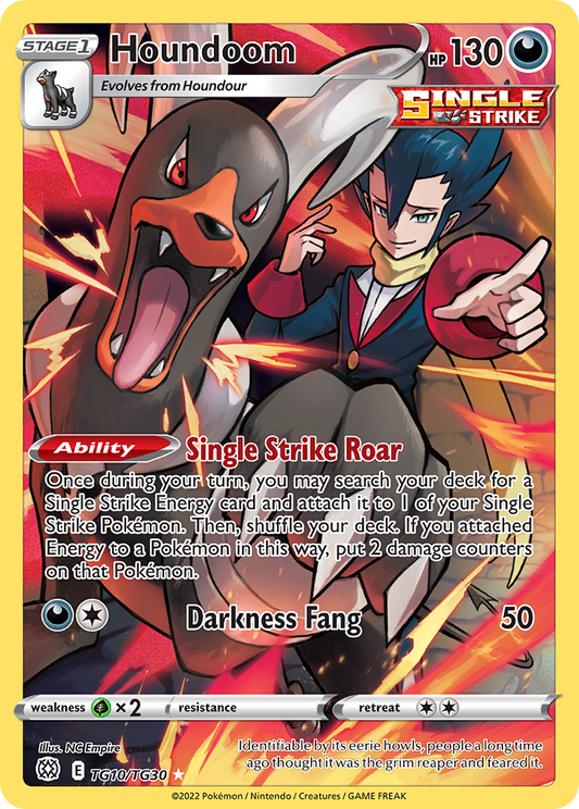 Houndoom Holo 010/30 Brilliant Stars Trainer Gallery Pokémon Card